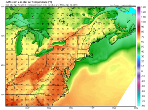 NAM high temps today (tropicaltidbits.com)