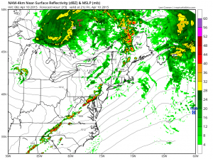 NAM Simulated Radar 5pm Today (tropicaltidbits.com)