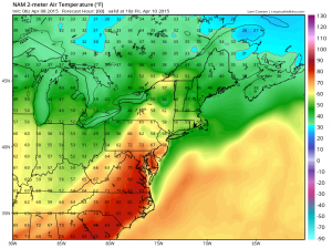 NAM High Temps - Friday (tropicaltidbits.com)