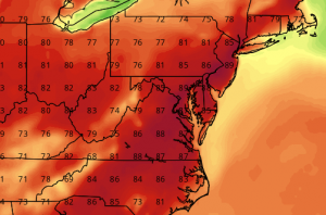 NAM - 4pm Temps Today (tropicaltidbits.com)