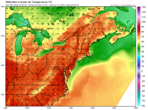 NAM 12 Temps - 4pm Today (tropicaltidbits.com)