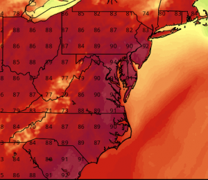 NAM - Today, 2pm Temperatures (tropicaltidbits.com)