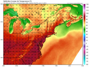 NAM - 2pm Thursday Temps (tropicaltidbits.com)