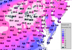 Observed Snowfall as of 8pm, 1/23/16