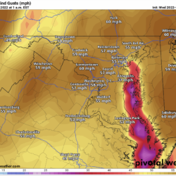 Strong gusty winds likely tomorrow night into Friday